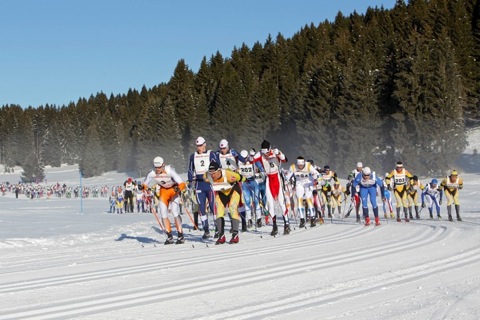 Newspower Canon 2010